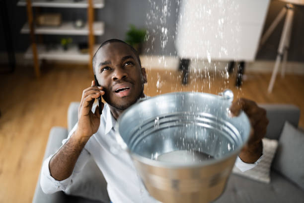 Best Flood damage cleanup  in Dade City, FL