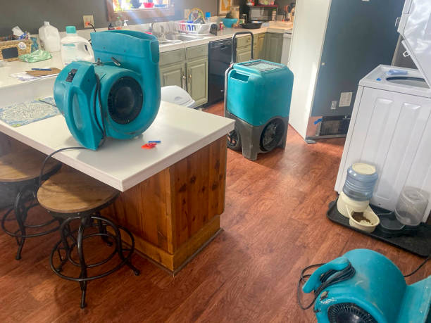 Best 24-hour water damage restoration  in Dade City, FL