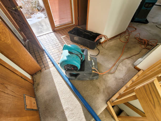 Best Flood restoration services  in Dade City, FL
