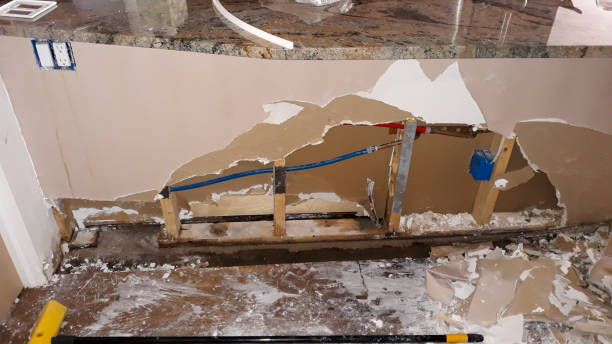 Best Commercial water damage restoration  in Dade City, FL