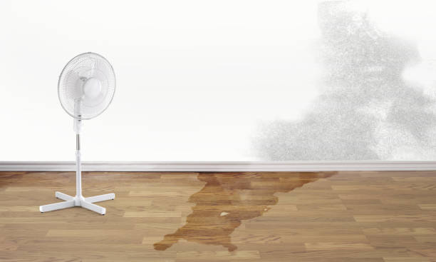  Dade City, FL Water damage restoration Pros