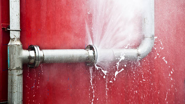 Trusted Dade City, FL Water damage restoration Experts